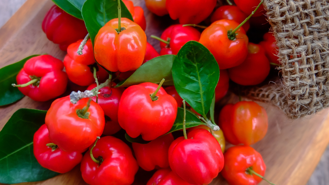 Unlock the Power of Natural Vitamin C: Boost Your Health and Immunity Naturally!