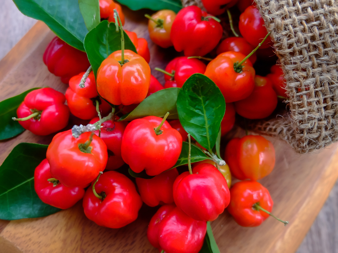 Unlock the Power of Natural Vitamin C: Boost Your Health and Immunity Naturally!